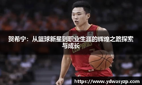 贺希宁：从篮球新星到职业生涯的辉煌之路探索与成长