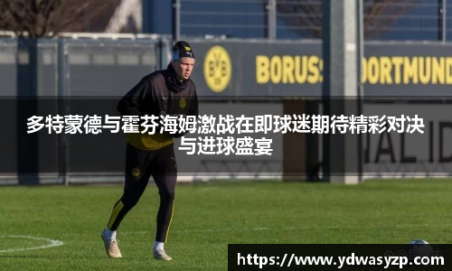 多特蒙德与霍芬海姆激战在即球迷期待精彩对决与进球盛宴