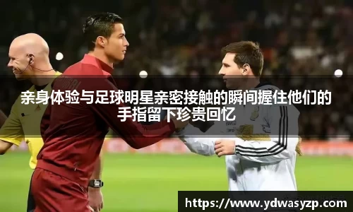 BB贝博中国官网